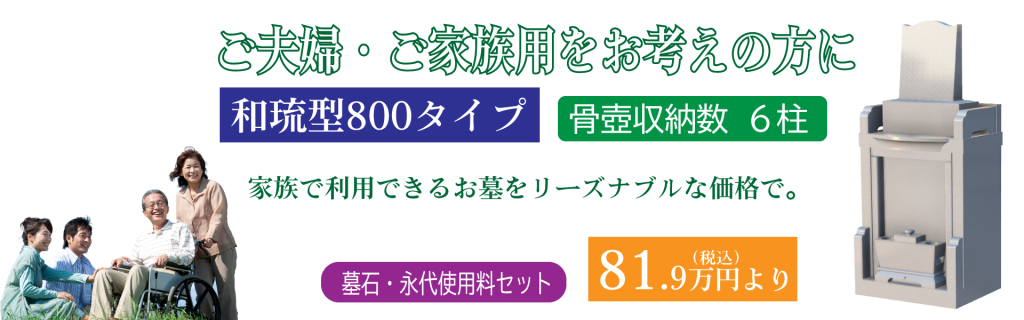 和琉型800タイプ タイトル